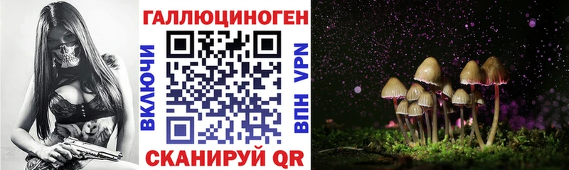 Псилоцибиновые грибы Cubensis  где найти   Урень 